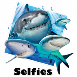 SHARKS SELFIE 21052HD4