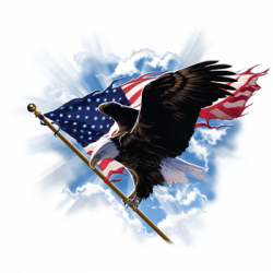 PATRIOTIC FLYING EAGLE 17995D1