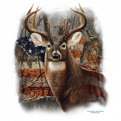 AMERICAN DEER 21950D2