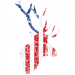 FLAG DEER DISTRESSED 22935EL2