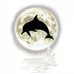 DOLPHIN MOON 00006D2