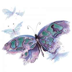 WATERCOLOR BUTTERFLY 02544HL2