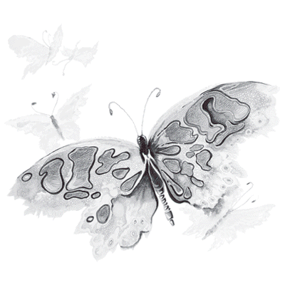 WATERCOLOR BUTTERFLY  02544SA4