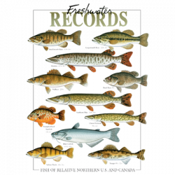 FRESHWATER RECORDS 05638HL2