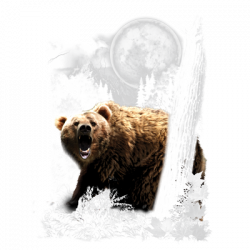 BEAR WILDERNESS 18252D2