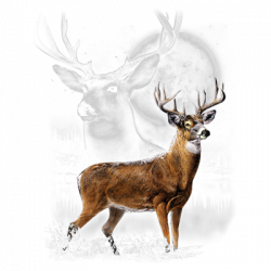 DEER WILDERNESS 18253D1