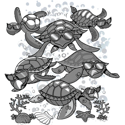 TURTLE PARTY  18527SA6