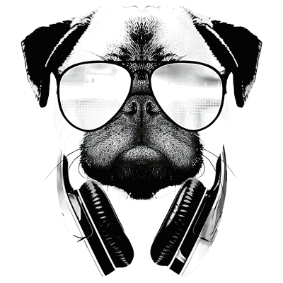 PUG DJ  19704SA2