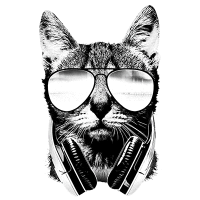 DJ CAT  19950SA2