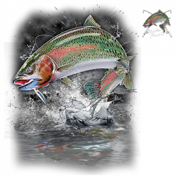 JUMPING RAINBOW TROUT W/CREST 20460D0