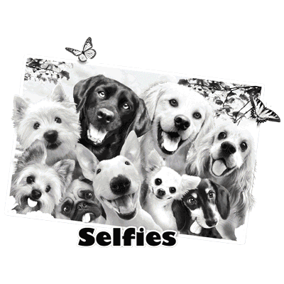 DOG SELFIE  21025SA4