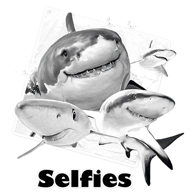 SHARKS SELFIE  21052SA2