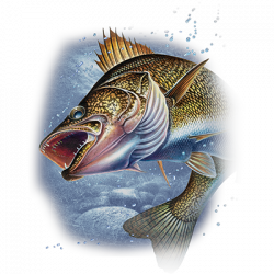 ACTION WALLEYE 21941HL0