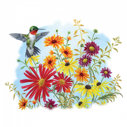 HUMMINGBIRD BOUQUET 22886HL4