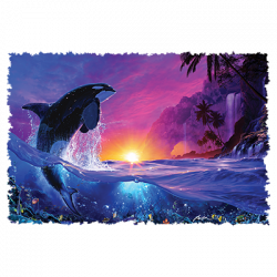SHEPHERD OF THE SEA II 23775HD4