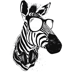 COOL ZEBRA 23901SA2
