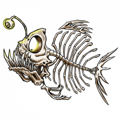 ANGLER FISH 23921HD2