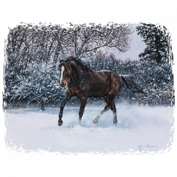 A WINTER’S DANCE 24081HD2