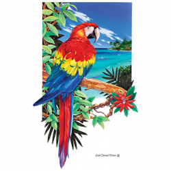 SCARLET MACAW VIGNETTE 24090HD2
