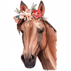 HORSE FLORAL 24767HD2