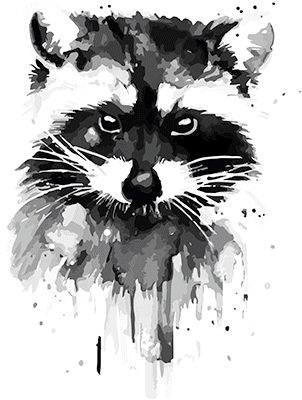 "WATERCOLOR RACCOON" 84830SA4